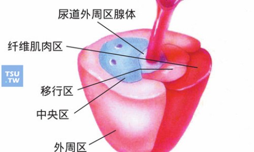 吉林吉春痔炎消胶囊-吉春消炎镇痛膏10片装多少钱专区_吉春制药官网专区_吉春痔炎消胶囊图片网