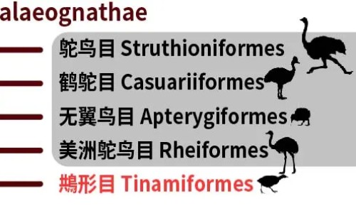 吉春消炎镇痛膏10片装多少钱专区_吉春制药官网专区_吉春痔炎消胶囊图片网